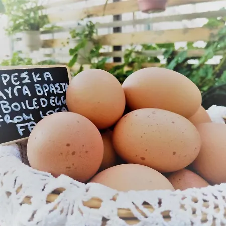 Areos Polis Boutique Areopoli