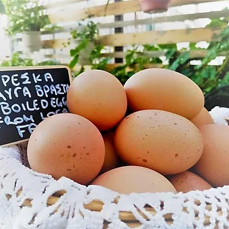 Areos Polis Boutique Hotel